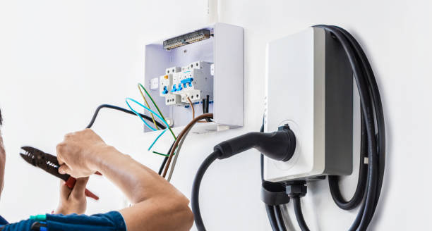 Best Electrical System Inspection  in Hebbronville, TX